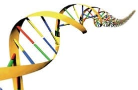 dna.jpg