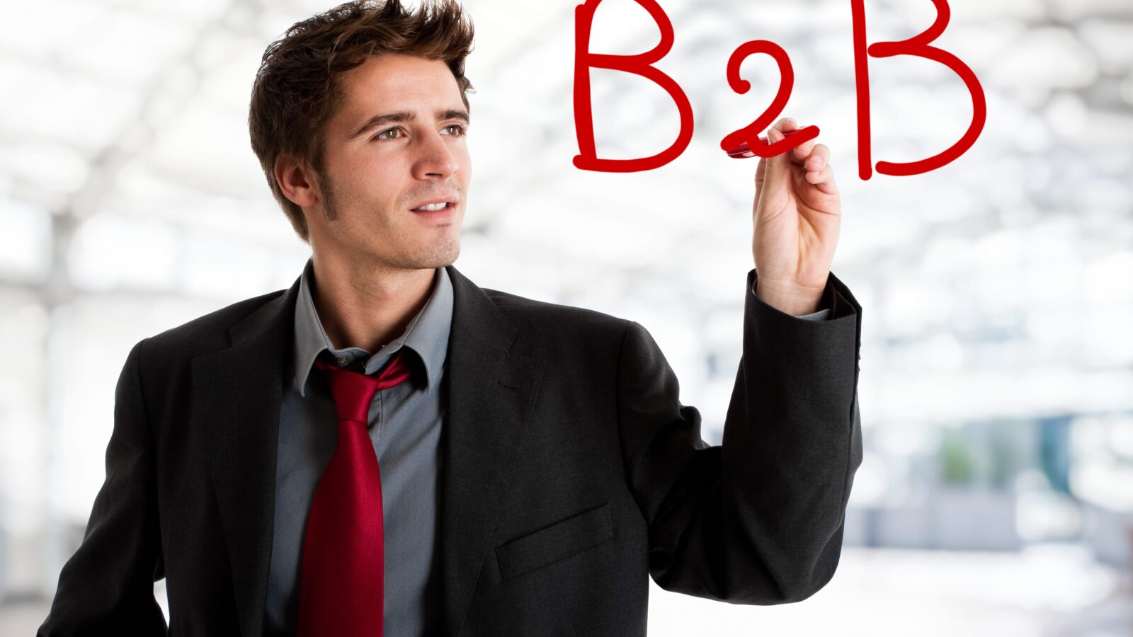Social media bij B2B-organisaties in 2013 [infographic]