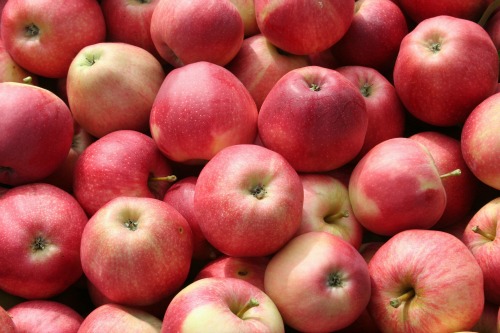 Appels