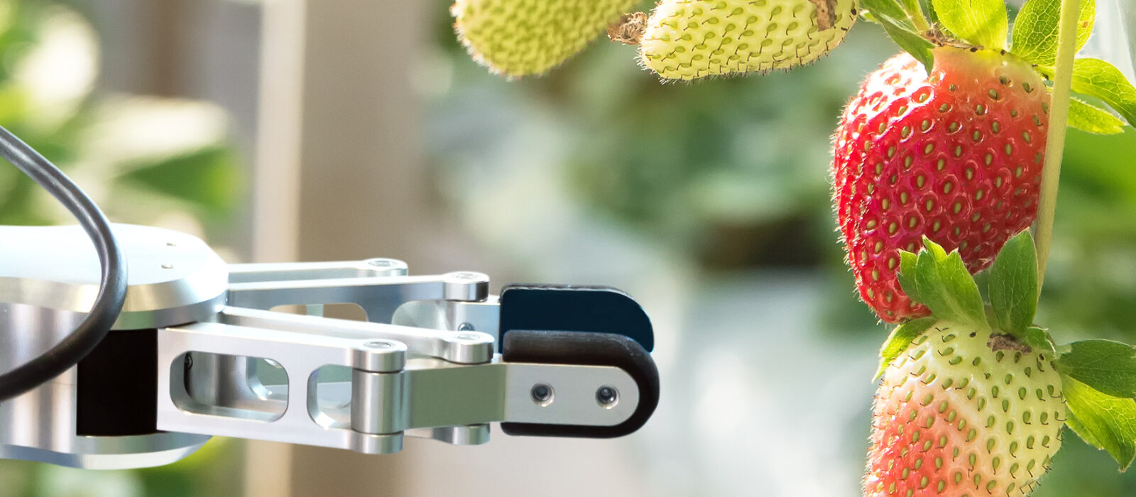IoT: neem een voorbeeld aan de landbouw