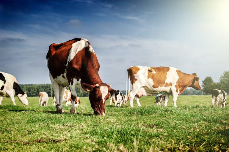 IoT landbouw