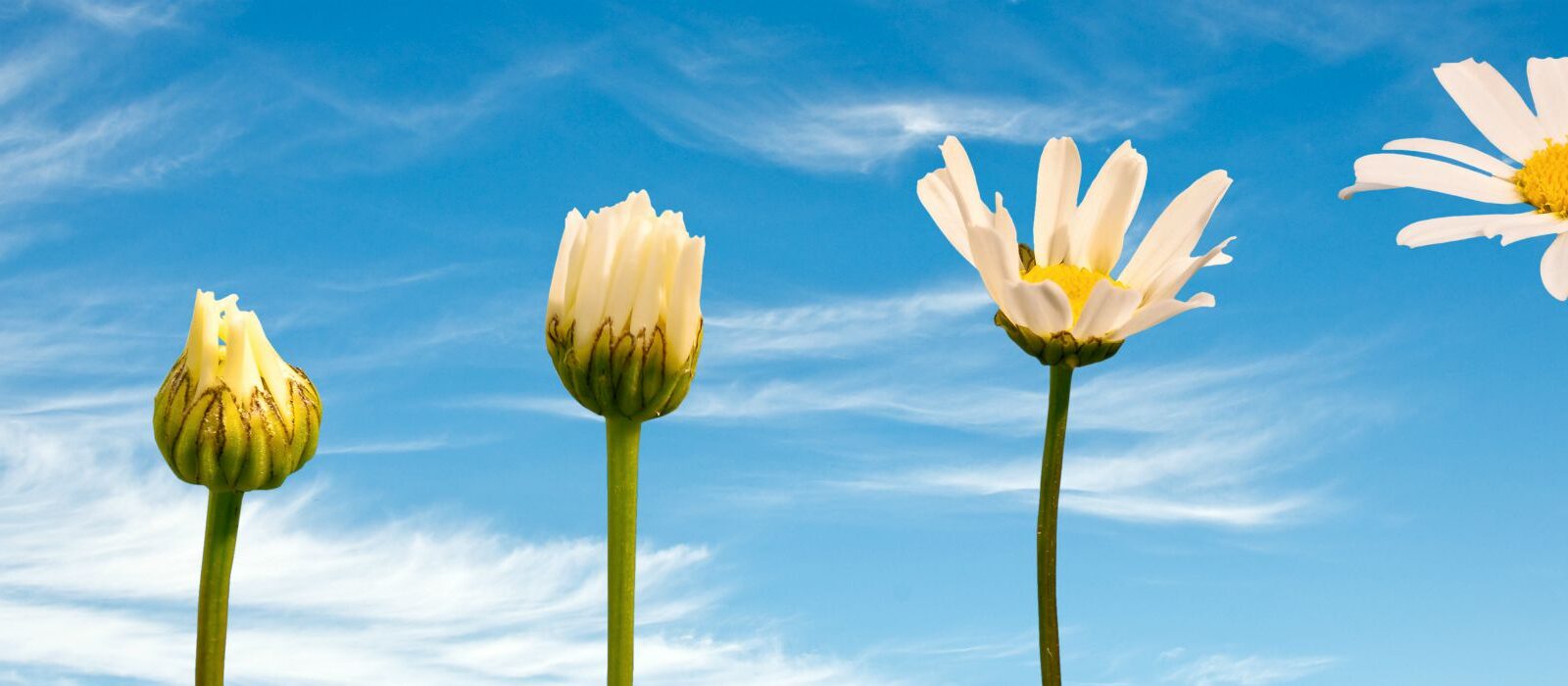 Echt toekomstbestendig worden? Begin met het intranet