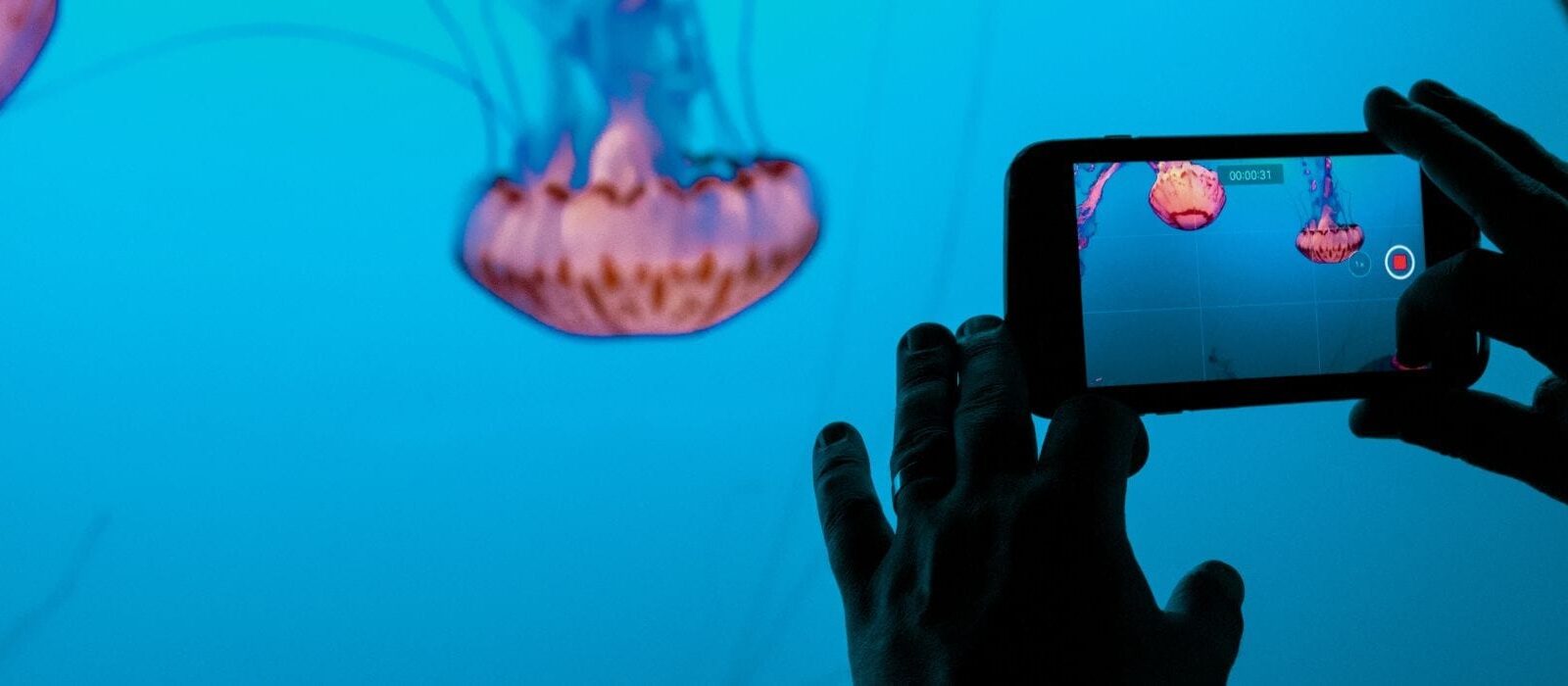 7 videotrends voor 2021: UGC, livestreams & meer