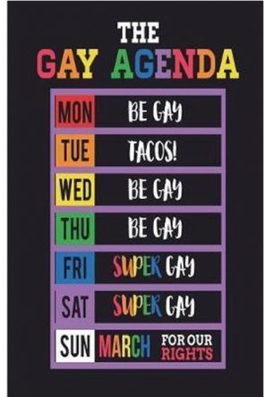 The gay agenda