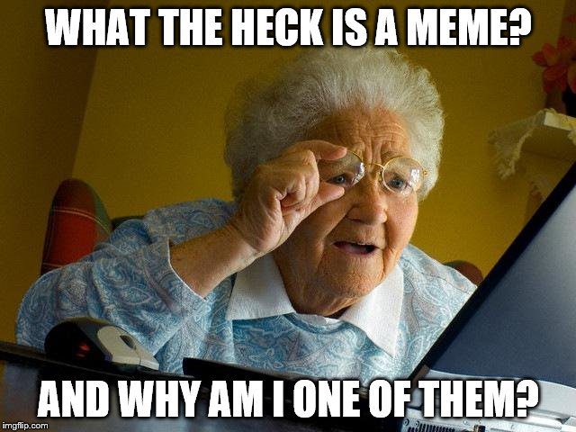 Voorbeeld van een meme