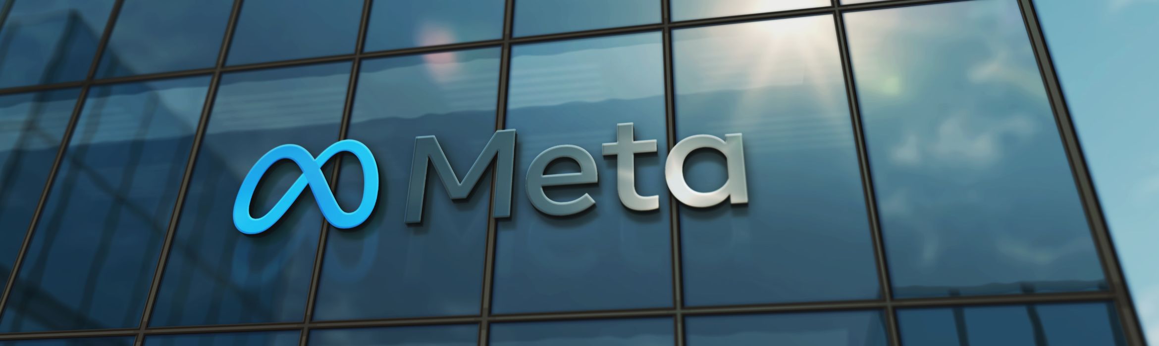 meta rolt meta ai uit