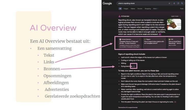 AI Overview - Presenter tijdens Content Conference